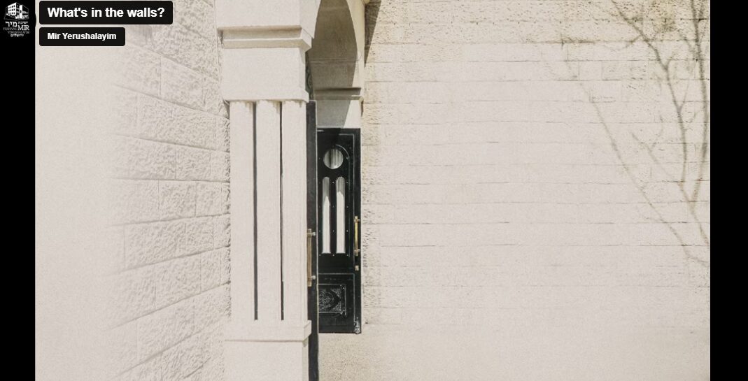 Whats in the Walls