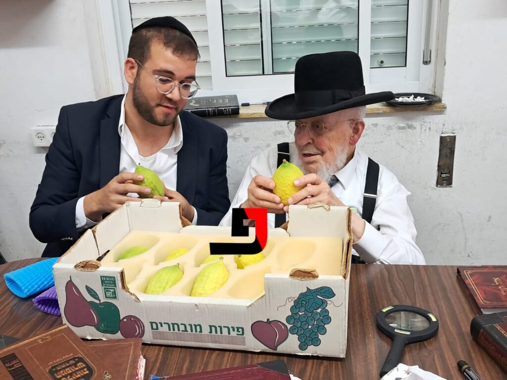 WhatsApp Image 2024-10-09 at 04.43.34_99e4cc25